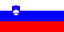 Slovenia flag — visa destination