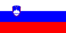 Slovenia flag — visa destination