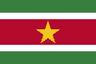 Suriname flag — visa destination