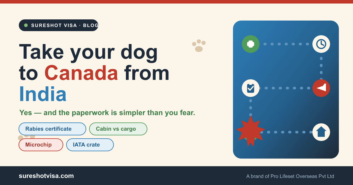 Can You Take Your Dog to Canada from India? The 2026 Pet Guide — cover