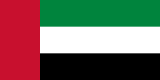 Dubai (UAE) flag — visa destination