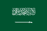 Saudi Arabia flag — visa destination